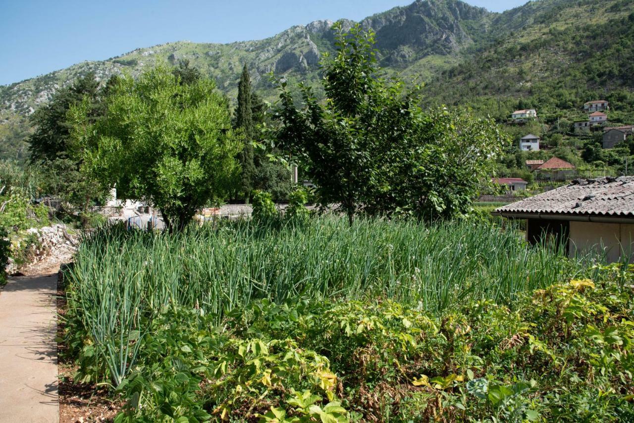 Apartments Nino Skadar lake Virpazar Extérieur photo